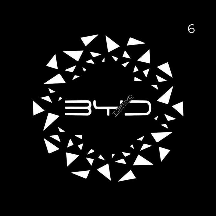 Puddle Lights for BYD